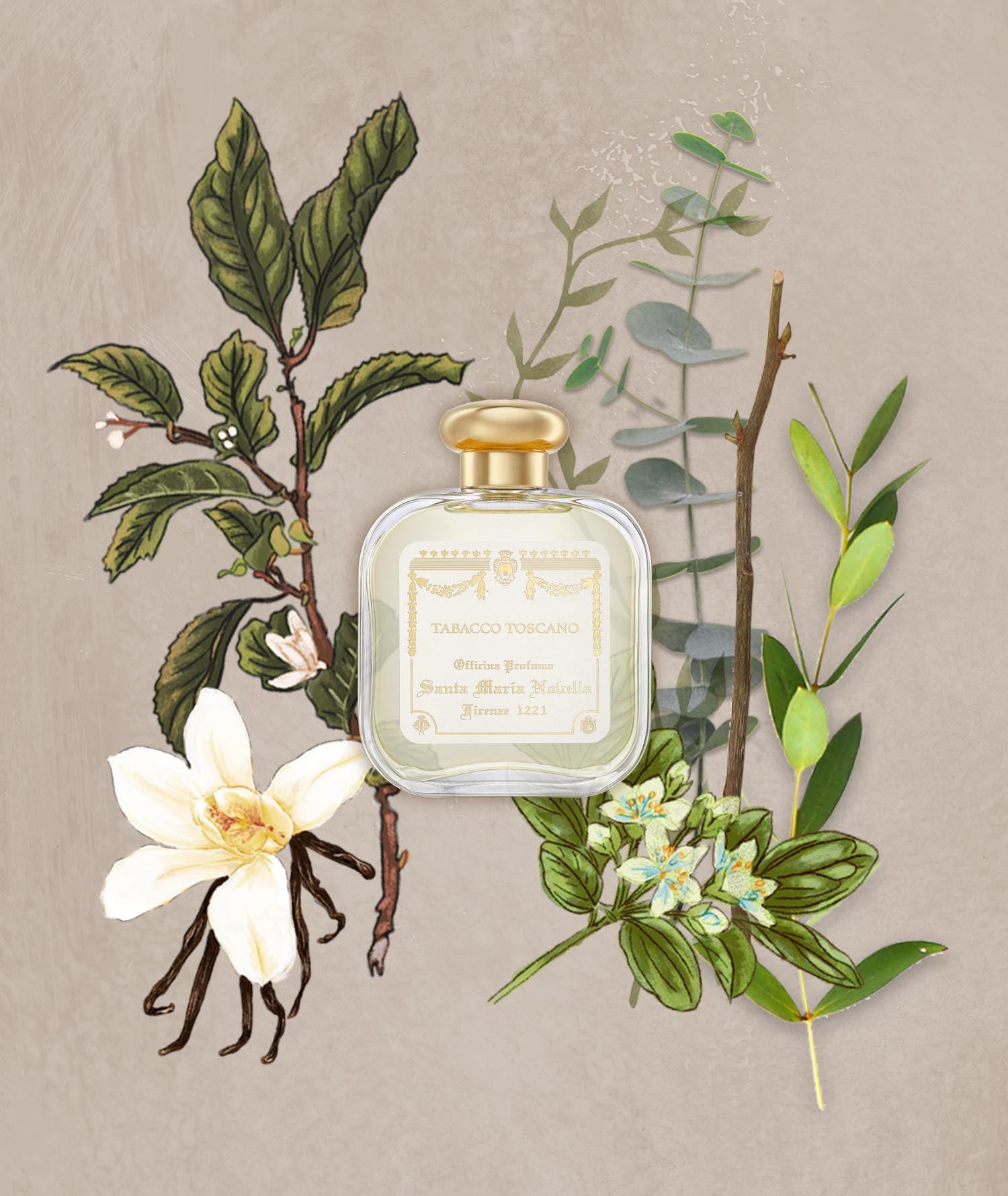 香水(ユニセックス) Santa Maria Novella Tabacco Toscano 50ml