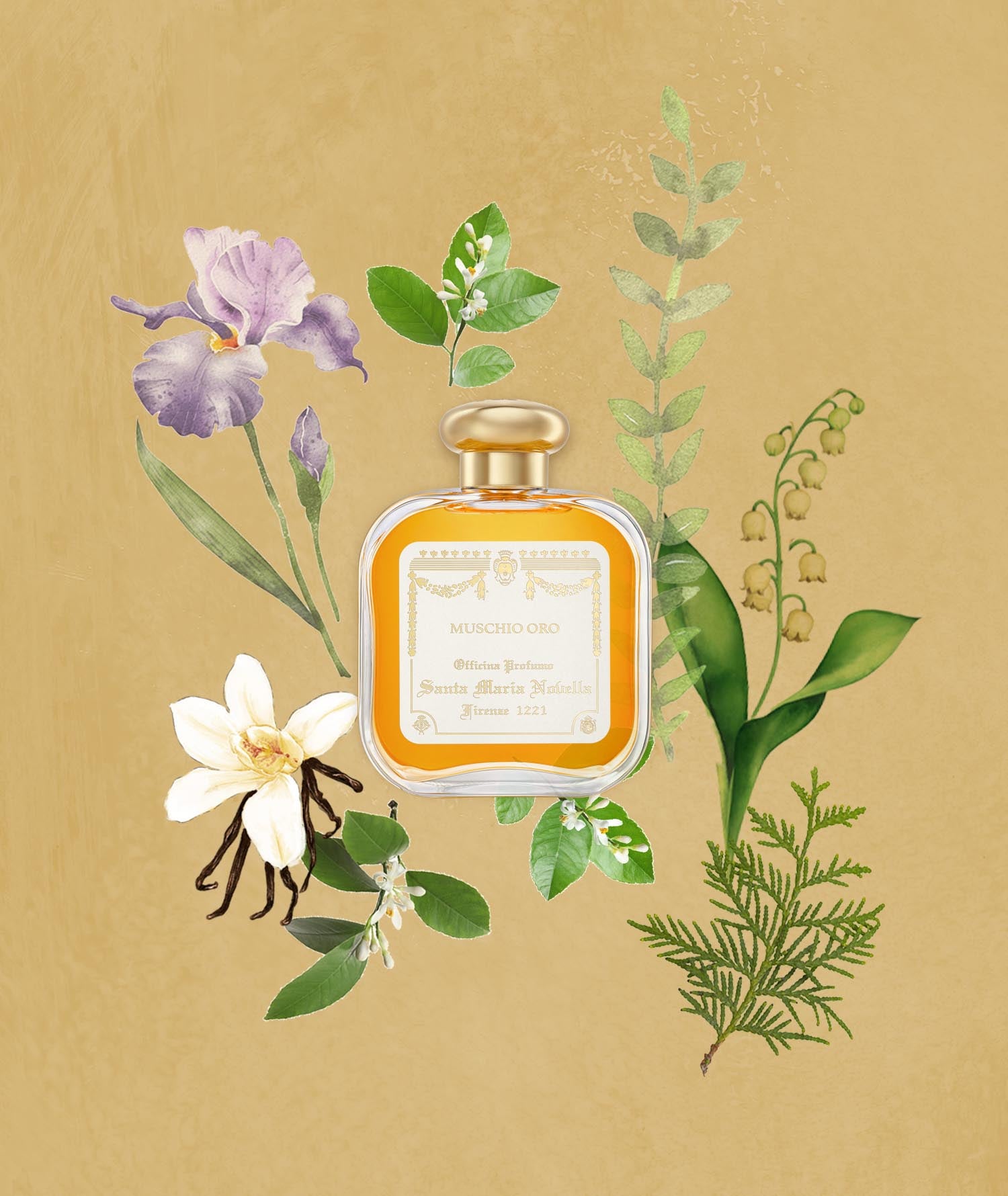 Muschio Oro: Eau de Cologne - Santa Maria Novella UK