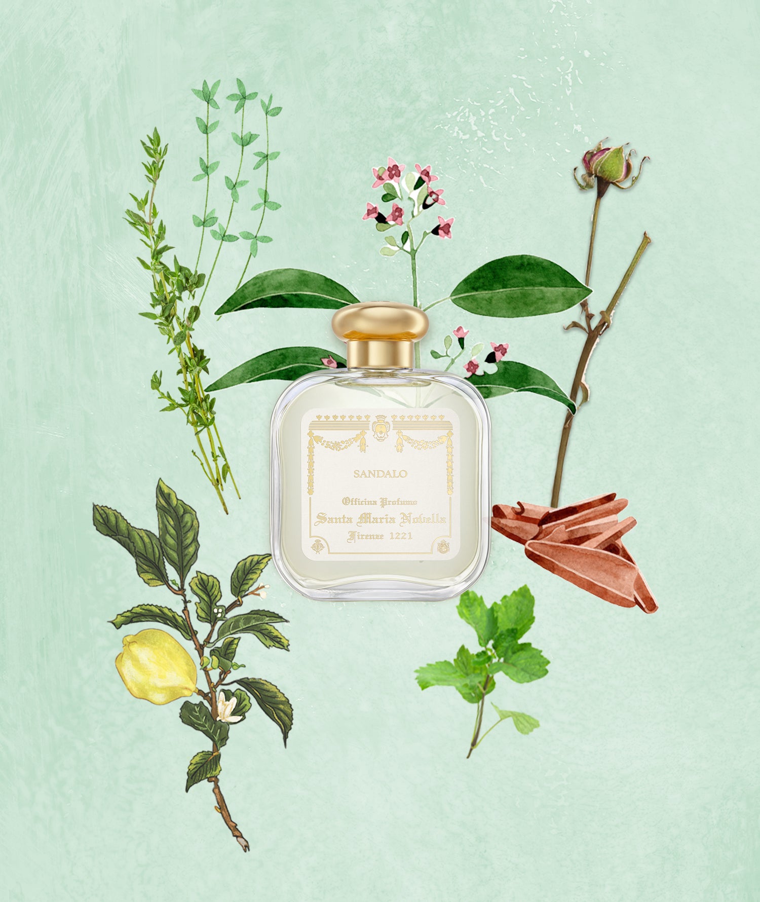 Sandalo: Eau de Cologne - Santa Maria Novella UK