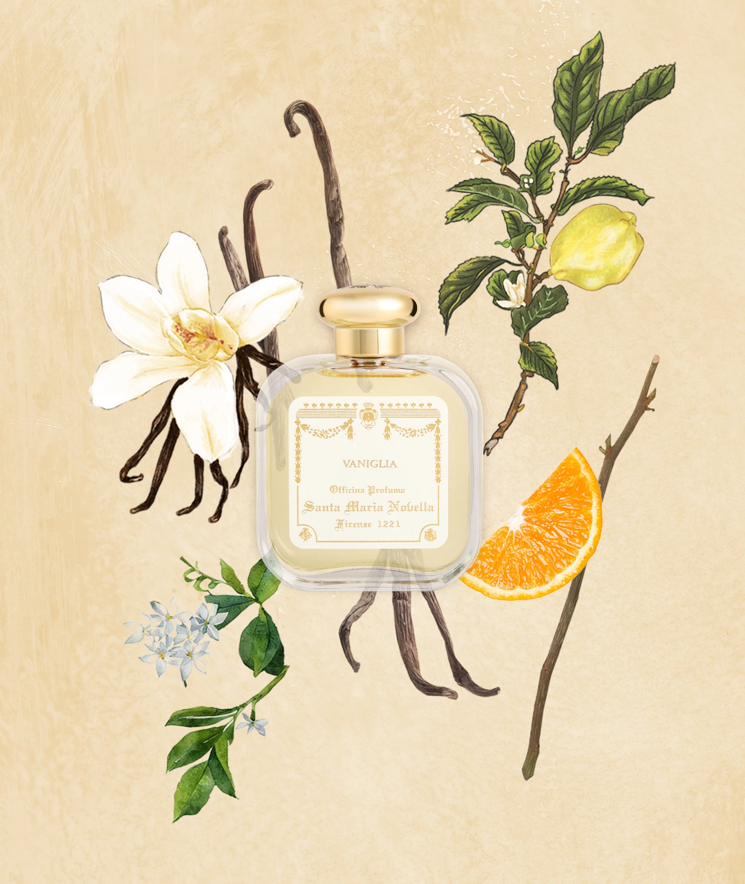 Vanilla Perfume: Eau de Cologne - Santa Maria Novella UK