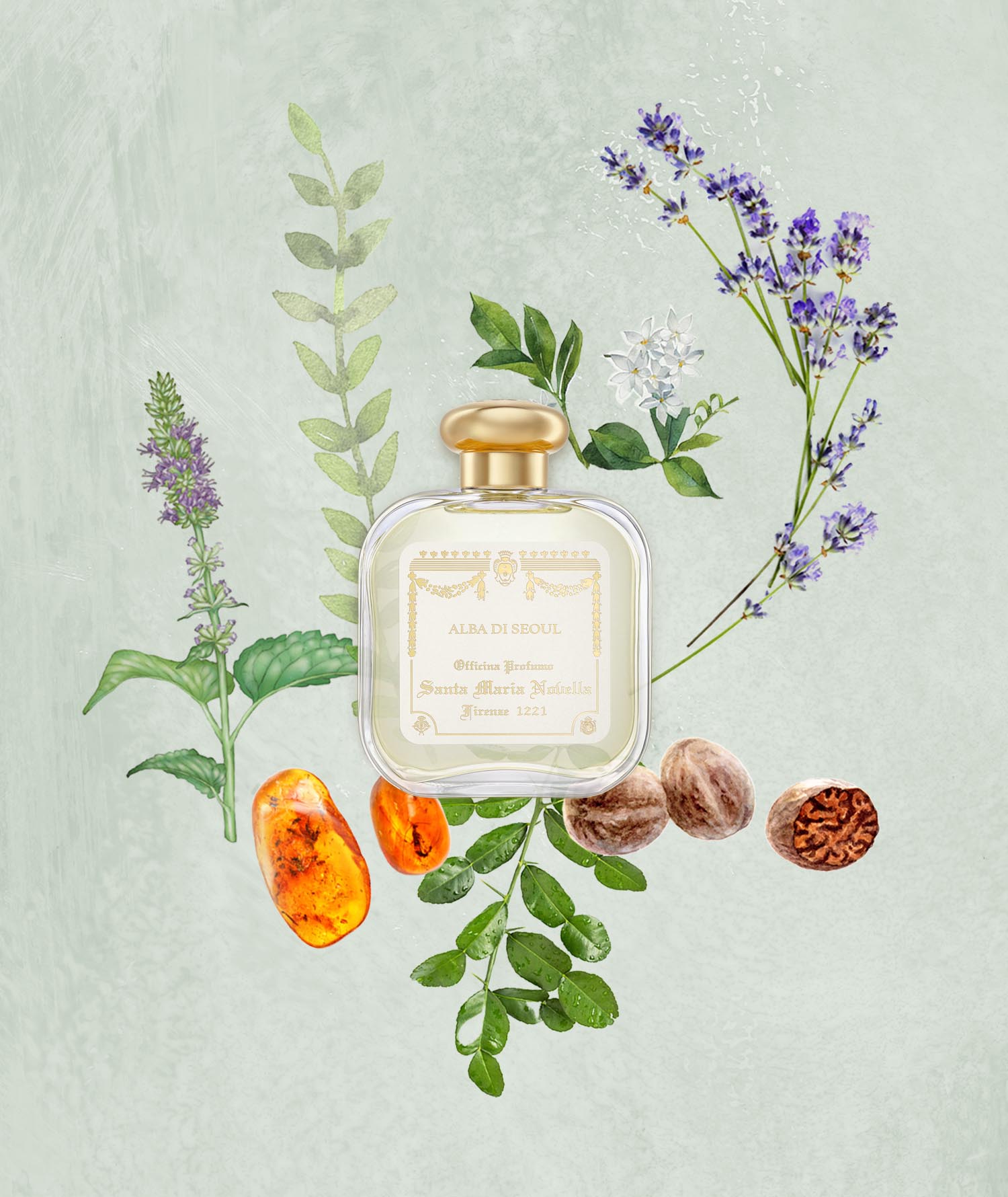 Alba di Seoul Eau de Cologne - Santa Maria Novella UK