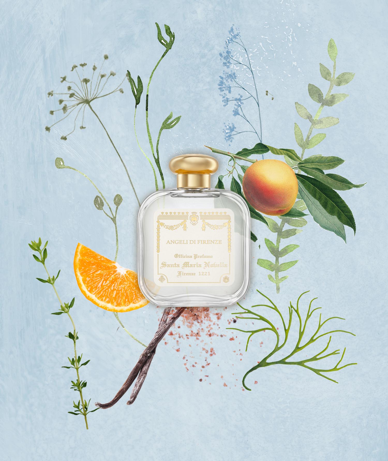 サンタ・マリア・ノヴェッラ ANGELI DI FIRENZE 50mL Angeli di Firenze: Eau de Cologne - Santa Maria Novella UK