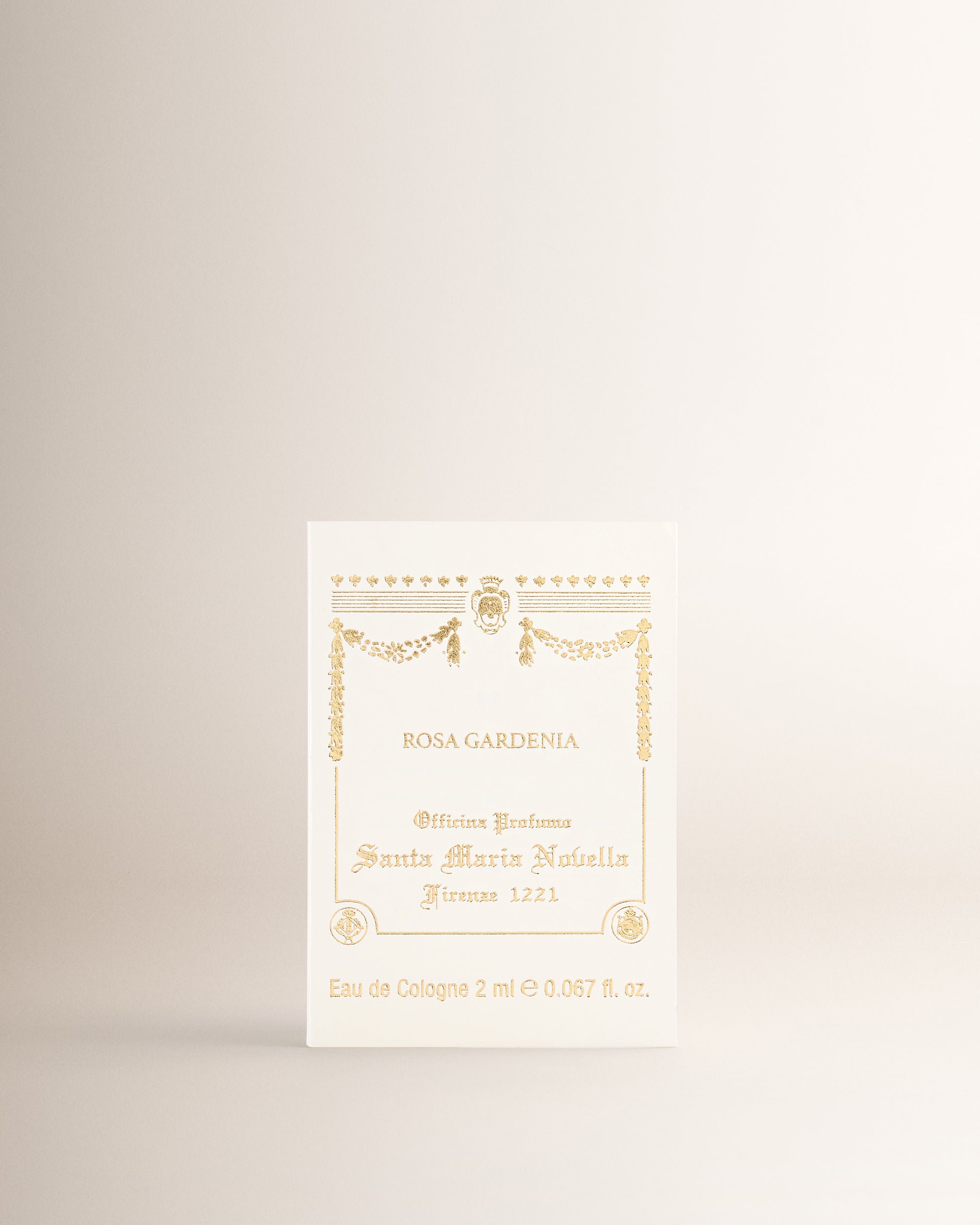 Mini Rosa Gardenia
