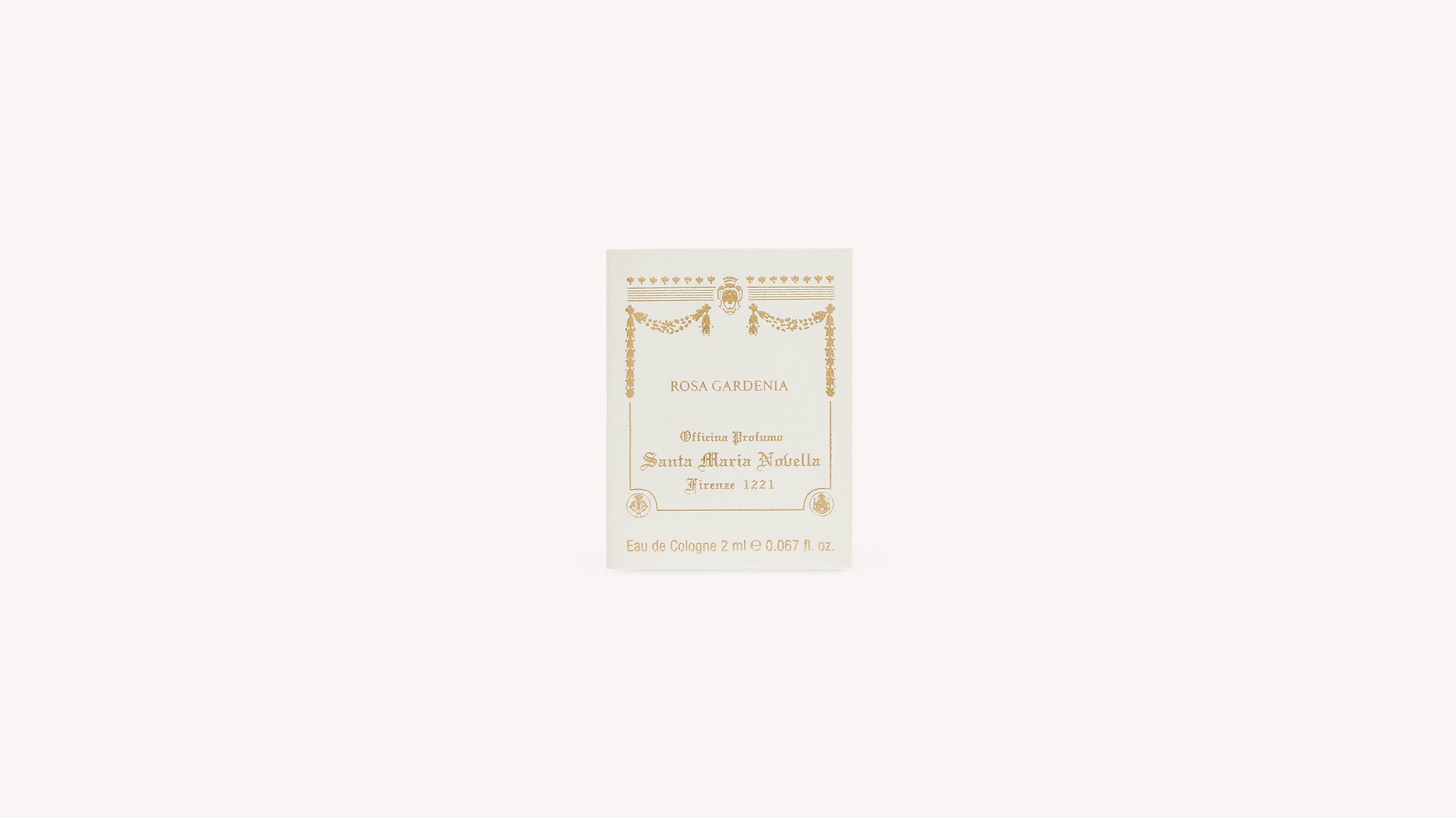 Mini Rosa Gardenia