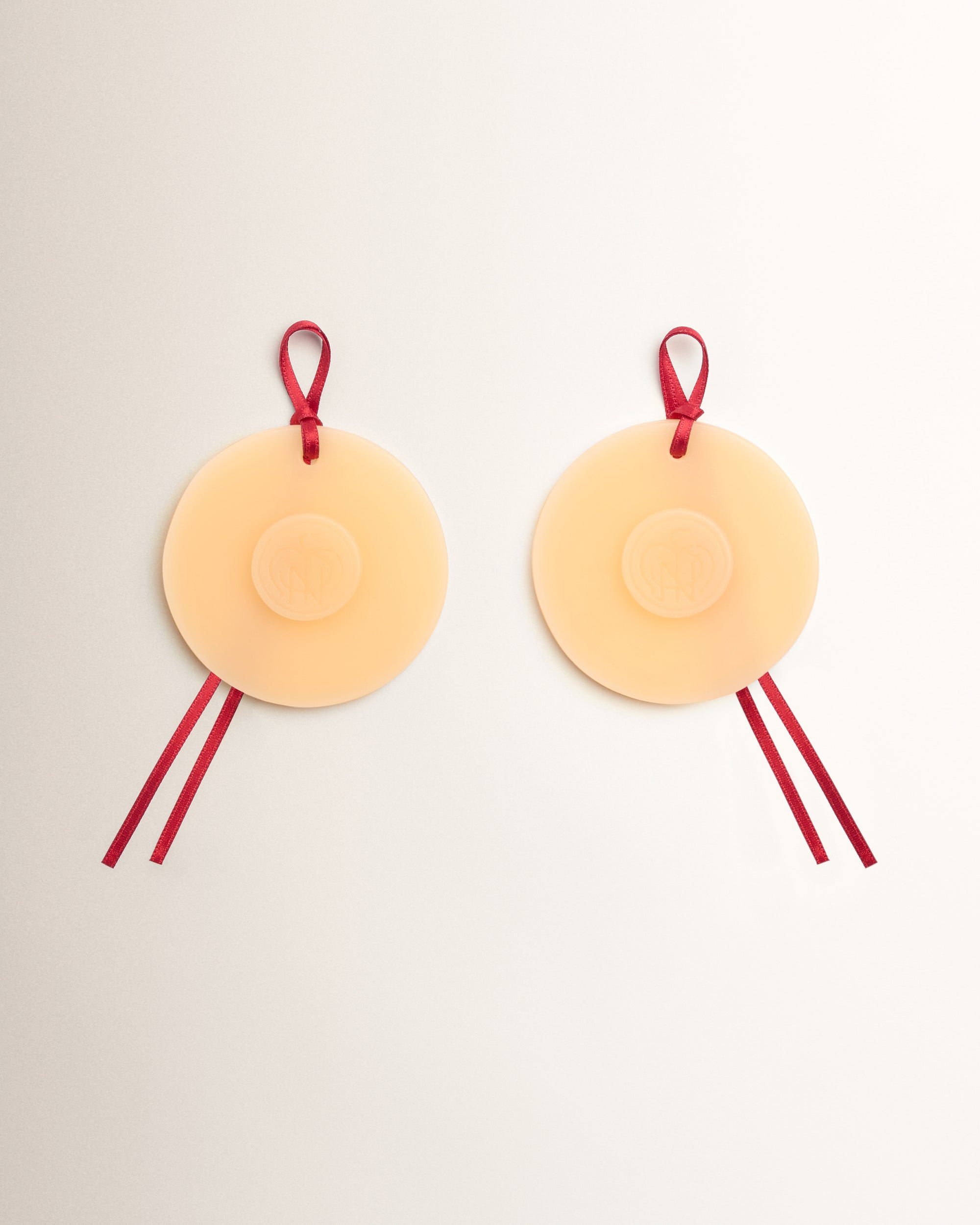 Scented Wax Medallion