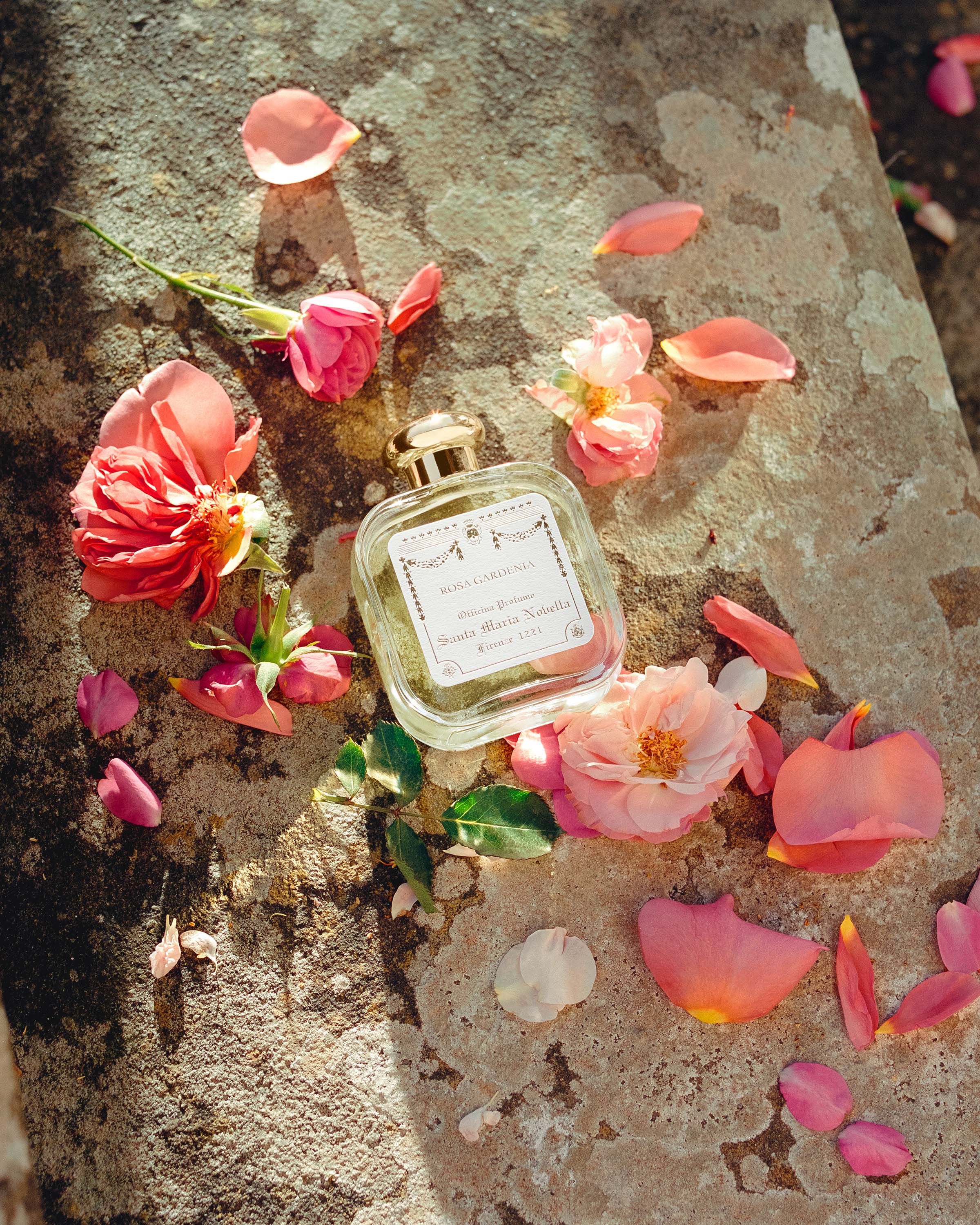 Rosa Gardenia: Perfumed Body Cream - Santa Maria Novella UK